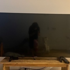 【決まりました】液晶テレビ 50インチ