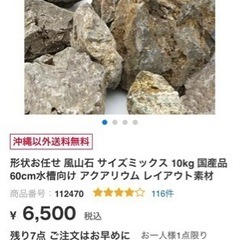 風山石10キロ