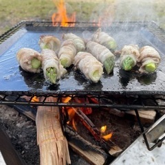キャンプの季節がやってきました。