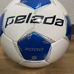 スポーツ サッカー