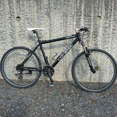  LOUIS GARNEAU FIVE マウンテンバイク オーバーホール済 26インチの画像