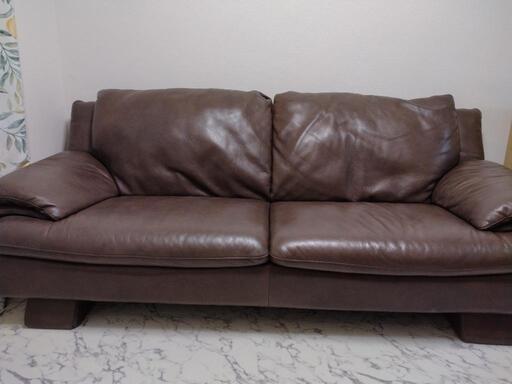NATUZZI EDITIONS ソファー
