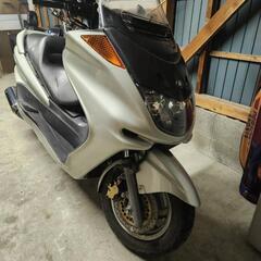 バリ得🉐✨️✨️美車✨️✨️マジェスティ250
