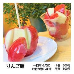キッチンカー出店場所を探しています。