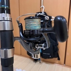 打ち込み釣り，タマン、