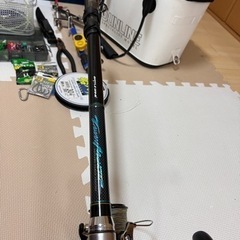 打ち込み釣り，タマン、