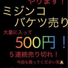 メダカ無人販売　第2弾！ - 一宮市