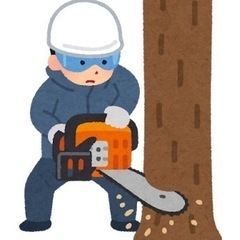 樹木　伐採　お庭のの木1本から伐採します(明瞭見積り)