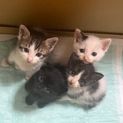 ♡おちょ♡