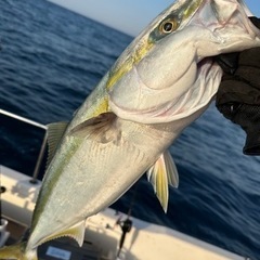 【釣り友達募集】バス釣り・ジギング・タイラバ・キャスティング　 − 栃木県