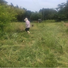 平日　募集！　【日給最大12000円】［時給1000〜1500円］トラクターで草ロール作りの画像