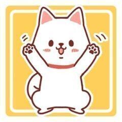 🐶ワンコのご飯🐶