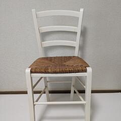 家具 椅子