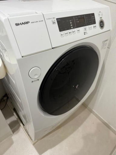家電 生活家電 洗濯機