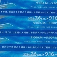 大磯ロングビーチ2024チケット2枚