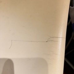 イームズ リプロダクトチェア 割れ有りの画像