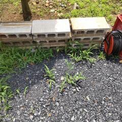 ブロックの画像