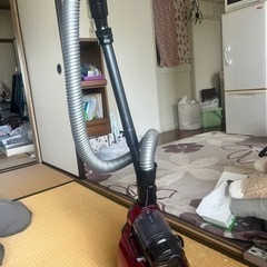 家電 生活家電 掃除機
