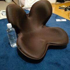 MTG 姿勢矯正　style　状態良好の画像