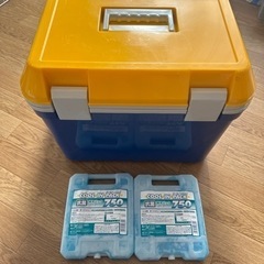 (受け渡し完了)引越し処分 カインズ クーラーボックス25L、保...