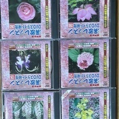 カラオケDVD 歌　演歌　歌謡曲
