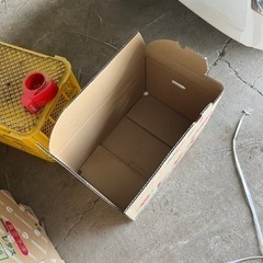 朝採れ　とうもろこし・羽だし品の画像