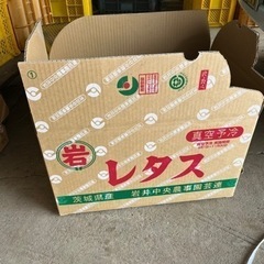 朝採れ　とうもろこし・羽だし品の画像