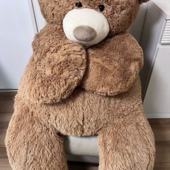 コストコくまぬいぐるみ⭐️