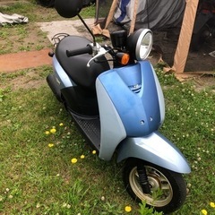 バイク ホンダ　　トゥデイ4の画像