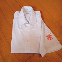 中古 堀川中学校黄色学年用165A半袖シャツ