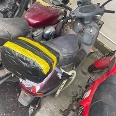 ホンダ　原付の画像