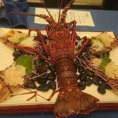 友達がほしいのかもー