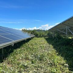 日給12000円　太陽光発電所内の草刈等軽作業の画像