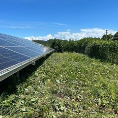 日給12000円　太陽光発電所内の草刈等軽作業