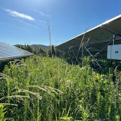 日給12000円　太陽光発電所内の草刈等軽作業の画像