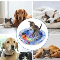 プール　ウォーターマット　水を入れても濡れないの画像