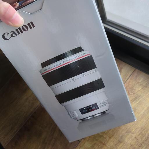 家電 カメラ
