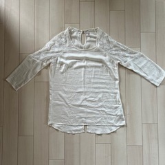 お譲り先決定🌼