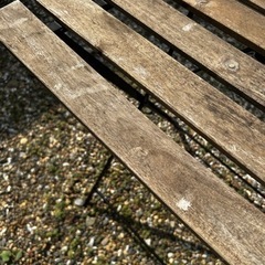 生活雑貨 家庭用品 ガーデニングの画像