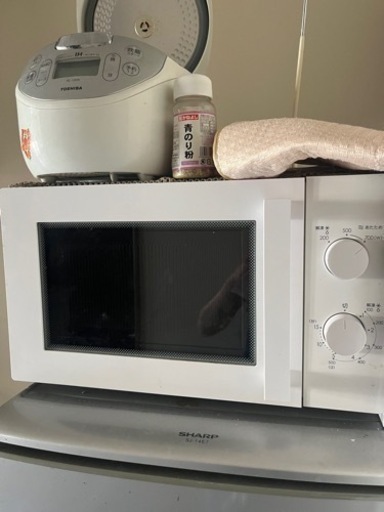 家電 キッチン家電 電子レンジ