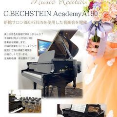 高級ブランド　ベヒシュタインが弾ける！30分￥1200の画像