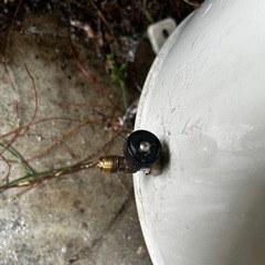 家電 季節、空調家電 エアコンの画像