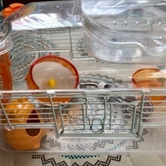 SankoルックルックフォーチュンDの画像