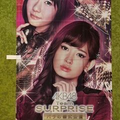 AKB48　ぱちんこ店用　のぼり　新品
