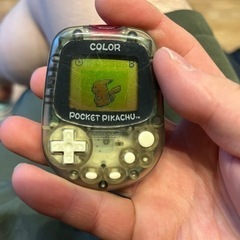 pocket pikachu