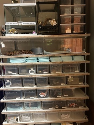 ブリーダーラック