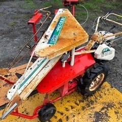 ヤンマー コーンカッター LC1 ハーベスタ　刈取　とうもろこし　玉蜀黍　簡易始動動画ありの画像