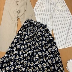 レディース　夏服　セットの画像