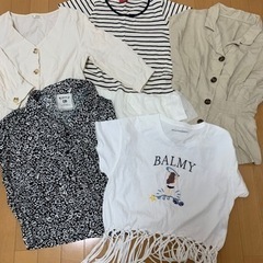 レディース　夏服　セットの画像