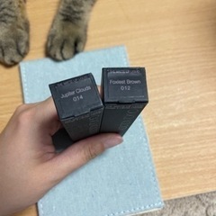 アディクション　リップの画像
